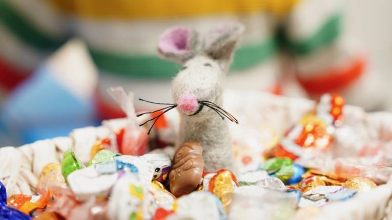 Eine Maus umgeben von Süßigkeiten